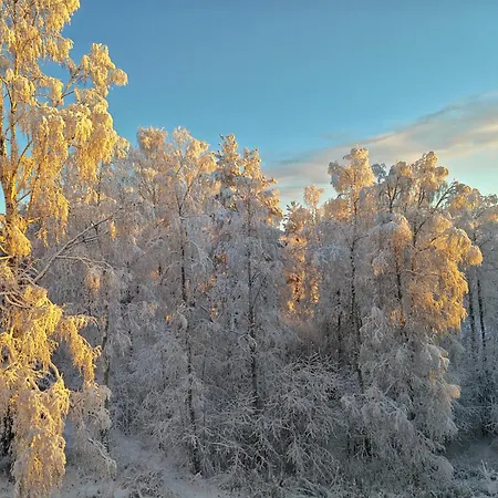 Tievastreet Harmony Апартаменты